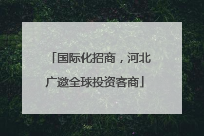 国际化招商，河北广邀全球投资客商