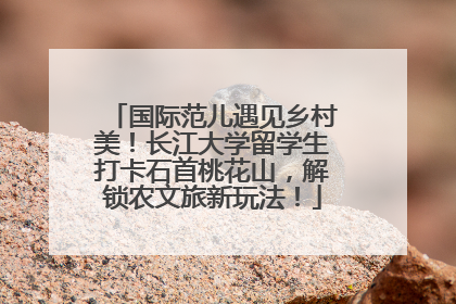 国际范儿遇见乡村美！长江大学留学生打卡石首桃花山，解锁农文旅新玩法！