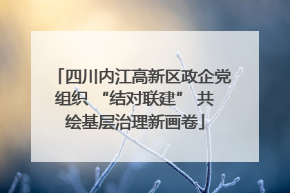 四川内江高新区政企党组织 “结对联建” 共绘基层治理新画卷
