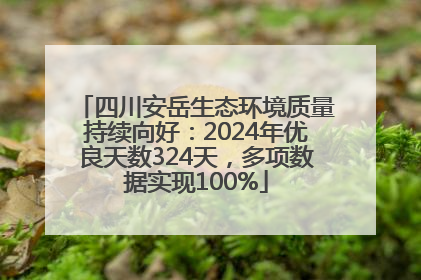 四川安岳生态环境质量持续向好：2024年优良天数324天，多项数据实现100%