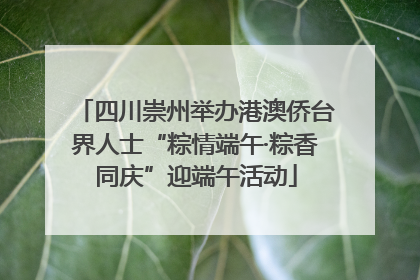 四川崇州举办港澳侨台界人士“粽情端午·粽香同庆”迎端午活动