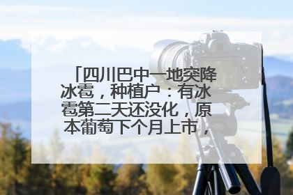 四川巴中一地突降冰雹，种植户：有冰雹第二天还没化，原本葡萄下个月上市，现在全被打落