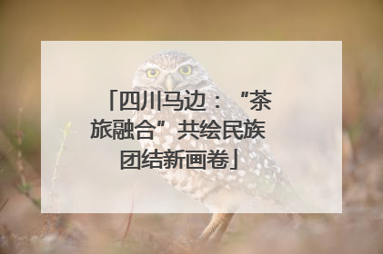 四川马边：“茶旅融合”共绘民族团结新画卷