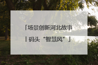 场景创新河北故事丨码头“智慧风”