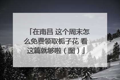 在南昌 这个周末怎么免费领取栀子花 看这篇就够啦（图）