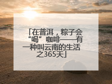 在普洱，粽子会“喝”咖啡——有一种叫云南的生活之365天