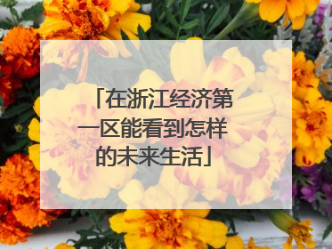 在浙江经济第一区能看到怎样的未来生活