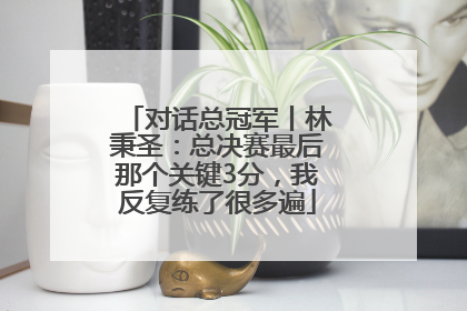 对话总冠军丨林秉圣：总决赛最后那个关键3分，我反复练了很多遍