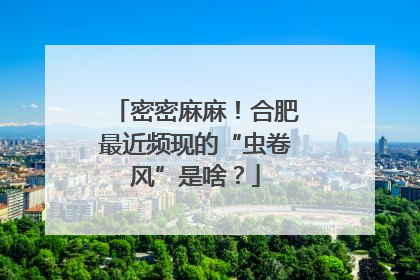 密密麻麻！合肥最近频现的“虫卷风”是啥？