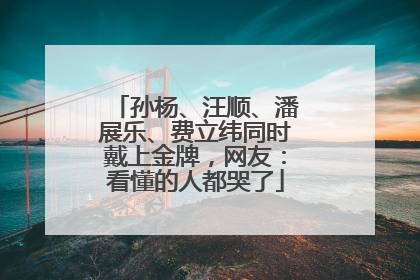孙杨、汪顺、潘展乐、费立纬同时戴上金牌，网友：看懂的人都哭了