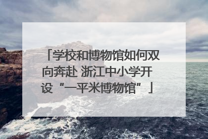 学校和博物馆如何双向奔赴 浙江中小学开设“一平米博物馆”