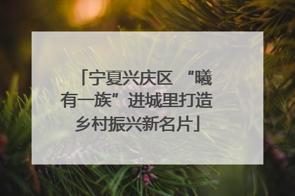 宁夏兴庆区 “曦有一族”进城里打造乡村振兴新名片