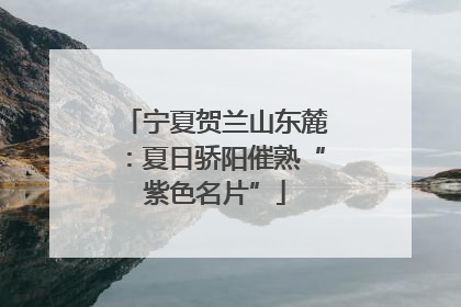 宁夏贺兰山东麓：夏日骄阳催熟“紫色名片”