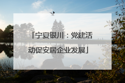 宁夏银川：党建活动促安居企业发展