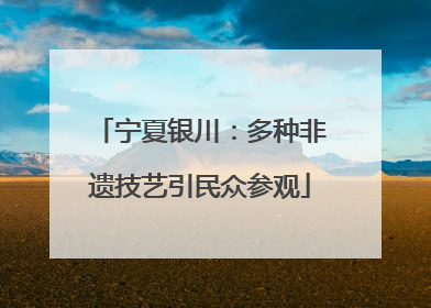 宁夏银川：多种非遗技艺引民众参观