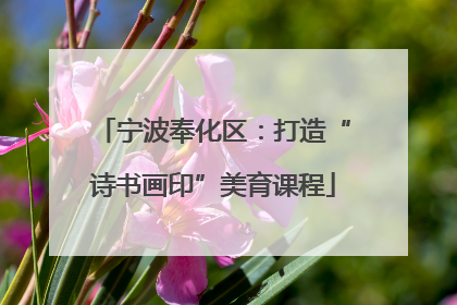 宁波奉化区：打造“诗书画印”美育课程