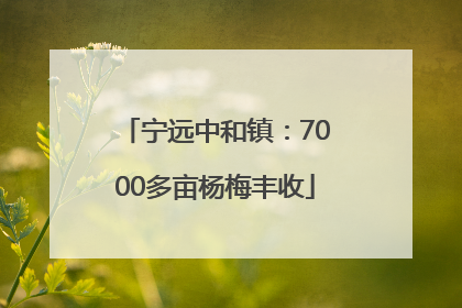 宁远中和镇：7000多亩杨梅丰收