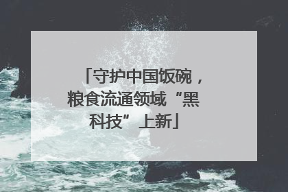 守护中国饭碗，粮食流通领域“黑科技”上新