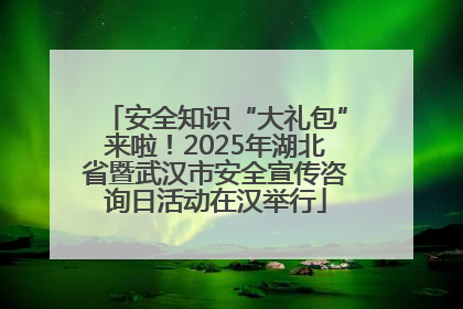 安全知识“大礼包”来啦！2025年湖北省暨武汉市安全宣传咨询日活动在汉举行