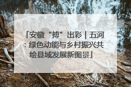 安徽“搏”出彩｜五河：绿色动能与乡村振兴共绘县域发展新图景