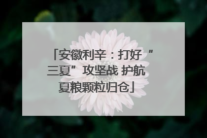 安徽利辛：打好“三夏”攻坚战 护航夏粮颗粒归仓