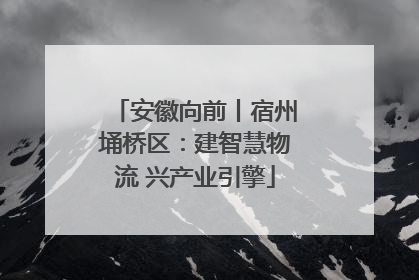 安徽向前丨宿州埇桥区：建智慧物流 兴产业引擎