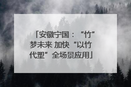 安徽宁国：“竹”梦未来 加快“以竹代塑”全场景应用