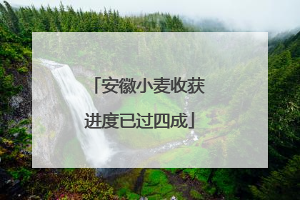 安徽小麦收获进度已过四成