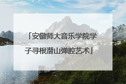 安徽师大音乐学院学子寻根潜山弹腔艺术