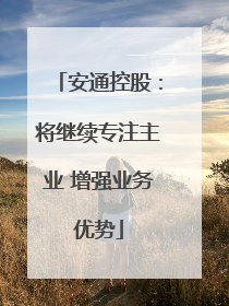 安通控股：将继续专注主业 增强业务优势