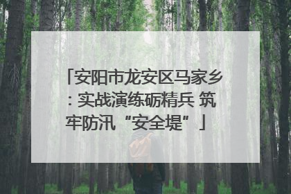 安阳市龙安区马家乡：实战演练砺精兵 筑牢防汛“安全堤”