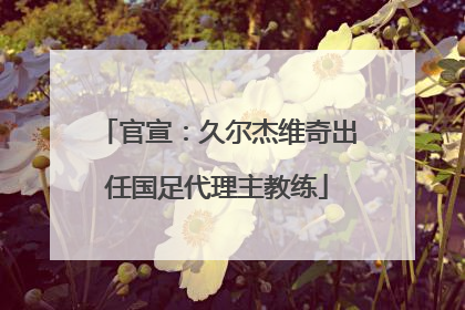 官宣：久尔杰维奇出任国足代理主教练