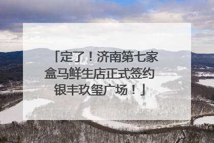 定了！济南第七家盒马鲜生店正式签约银丰玖玺广场！