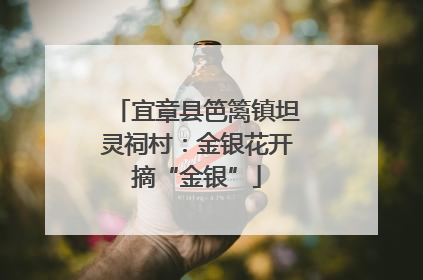 宜章县笆篱镇坦灵祠村：金银花开摘“金银”