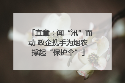 宜章：闻“汛”而动 政企携手为烟农撑起“保护伞”