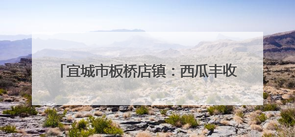 宜城市板桥店镇：西瓜丰收销售俏 乡村振兴添活力