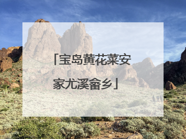 宝岛黄花菜安家尤溪畲乡