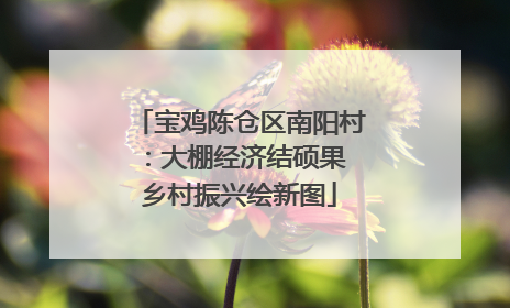 宝鸡陈仓区南阳村：大棚经济结硕果 乡村振兴绘新图