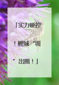 实力硬控！鲤城“圳”出圈！