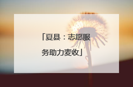 夏县：志愿服务助力麦收