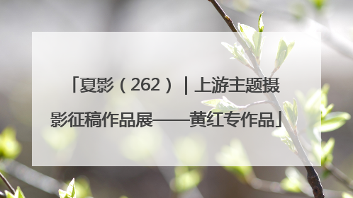 夏影（262）｜上游主题摄影征稿作品展——黄红专作品