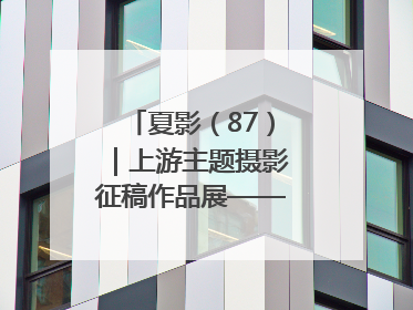 夏影（87）｜上游主题摄影征稿作品展——周社根作品