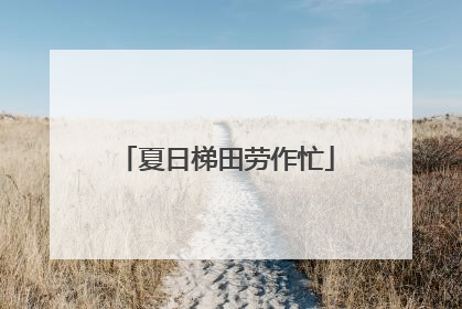 夏日梯田劳作忙