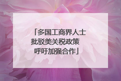 多国工商界人士批驳美关税政策 呼吁加强合作