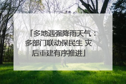 多地遇强降雨天气：多部门联动保民生 灾后重建有序推进