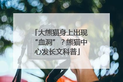 大熊猫身上出现“血洞”？熊猫中心发长文科普