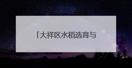 大祥区水稻选育与应用项目实现新突破，农业农村局全程护航成果斐然
