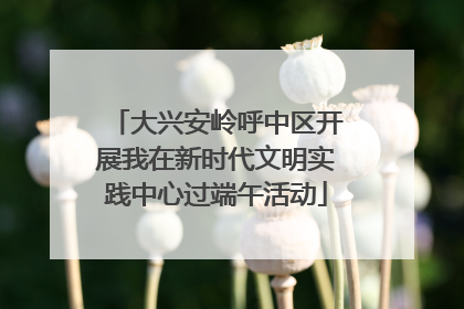 大兴安岭呼中区开展我在新时代文明实践中心过端午活动