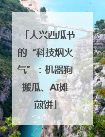 大兴西瓜节的“科技烟火气”：机器狗搬瓜、AI摊煎饼