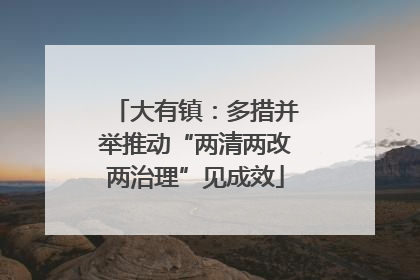 大有镇：多措并举推动“两清两改两治理”见成效